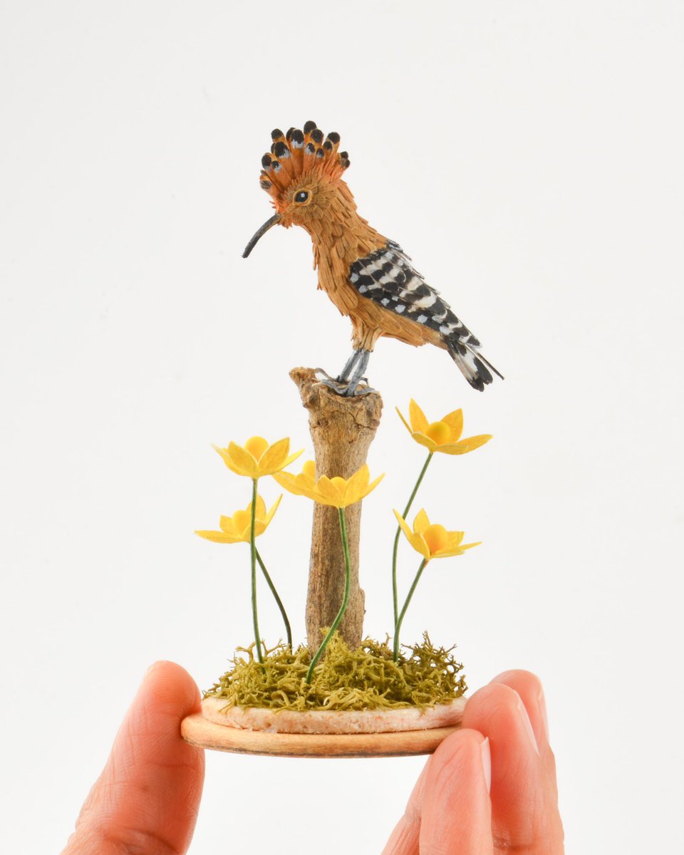 Eurasian Hoopoe miniature paper sculpture. This tiny birb is on display at Small is beautiful art Brussels.

#bird #miniature #art