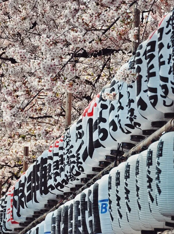 ひかり tweet media