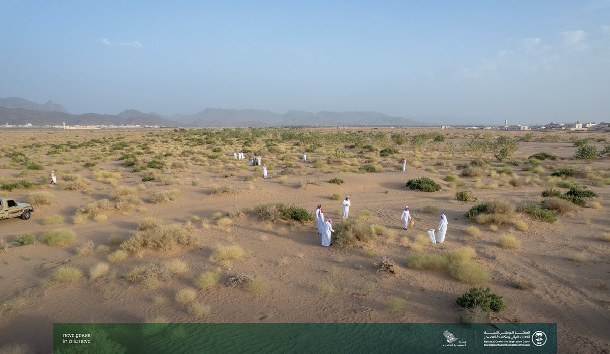 المركز ينفذ مبادرة لجمع بذور الرمث في محافظة رنية بمنطقة مكة المكرمة، تمهيدًا لإعادة نثرها بالمواقع الرعوية المتدهورة، ضمن #البرنامج_الوطني_للتشجير، بمشاركة من القطاع الحكومي وعدد من المتطوعين والمهتمين بالبيئة.
 
#مبادرة_السعودية_الخضراء
#نحو_10_مليارات_شجرة