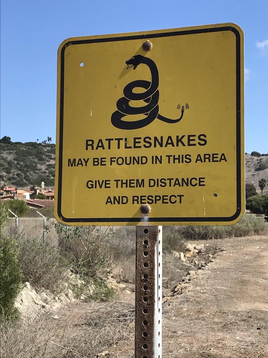 edwards21228's tweet photo. Introverts and rattlesnakes want the same things. I’m saying that as an introvert, not a rattlesnake. https://t.co/0IxEasDmEI