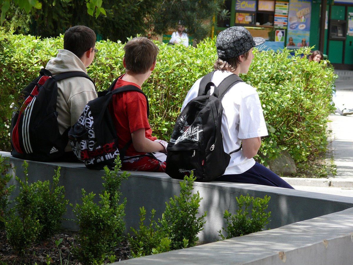 🚍Aldaialderako eguerdiko eskola-garraioa handituko dute ekainera bitarte.
🔗v-g.eus/3uKxmve

🚍Se amplia el transporte escolar de mediodía para Aldaialde hasta junio.
🔗v-g.eus/3OSryqi

#VitoriaGasteiz #Gasteiz