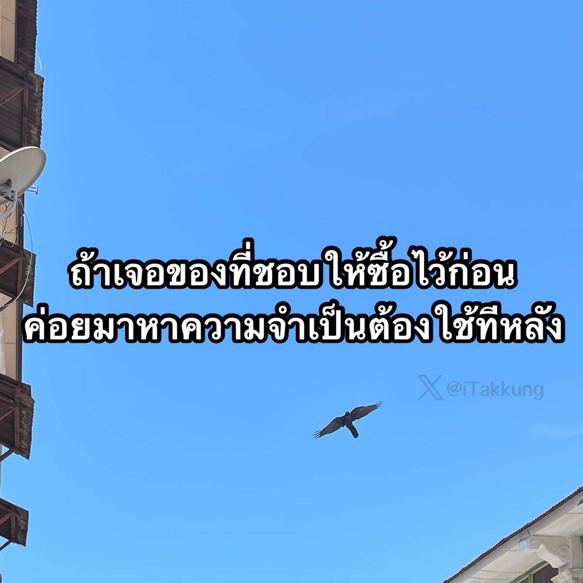 ᴛᴀᴋᴋᴜɴɢ 𓏰˙Ⱉ˙ tweet media