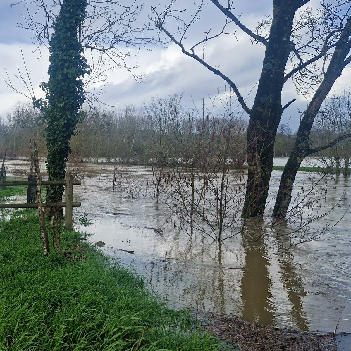 La Vendée Info tweet media