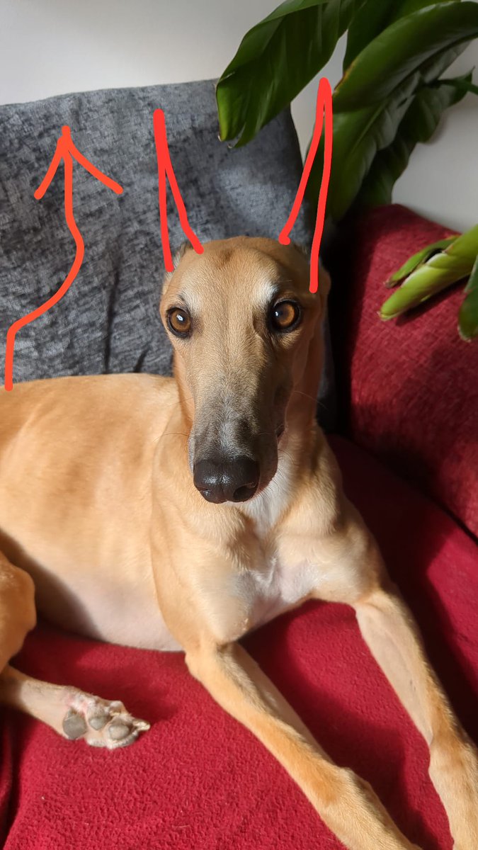 Nick McCleery tweet media