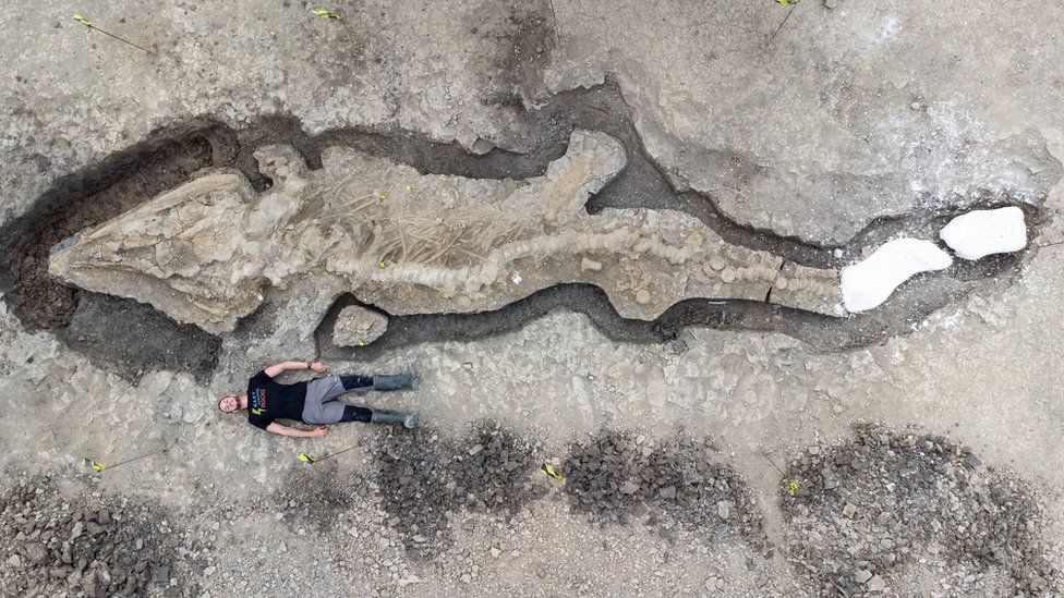RISWSwansea's tweet photo. Calling all dinosaur lovers! In our next event @Dean_R_Lomax tells how a giant 'sea dragon' was recently unearthed in Rutland: Thursday 7 March, 6:30pm, Faraday Lecture Theatre @SwanseaUni.  Everyone welcome! https://t.co/AIe77Yb0Ws