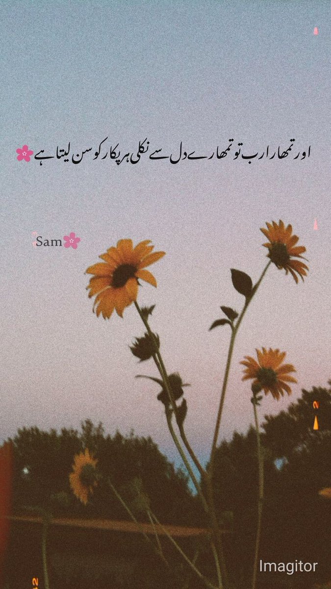 Sanayousaf00's tweet photo. میری دعا ہے آپ کی ہر انشاء اللہ
الحَمْدُ ِلله میں بدل جائے
Ameeeen❤️❤️
#GrowWithUbaid https://t.co/dvJGvjW4dl