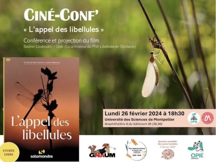 assognaum's tweet photo. 🎬 Soirée « ciné-conf » sur les Odonates. 

Projection du film « l’Appel des libellules », précédée d’une présentation sur les libellules en Occitanie. Bastien Louboutin, chargé de mission à l’OPIE sera présent pour échanger avec le public.

🗓️Lundi 26 février 18h30
📍Amphi 36.06 https://t.co/S7TXN2SAx8