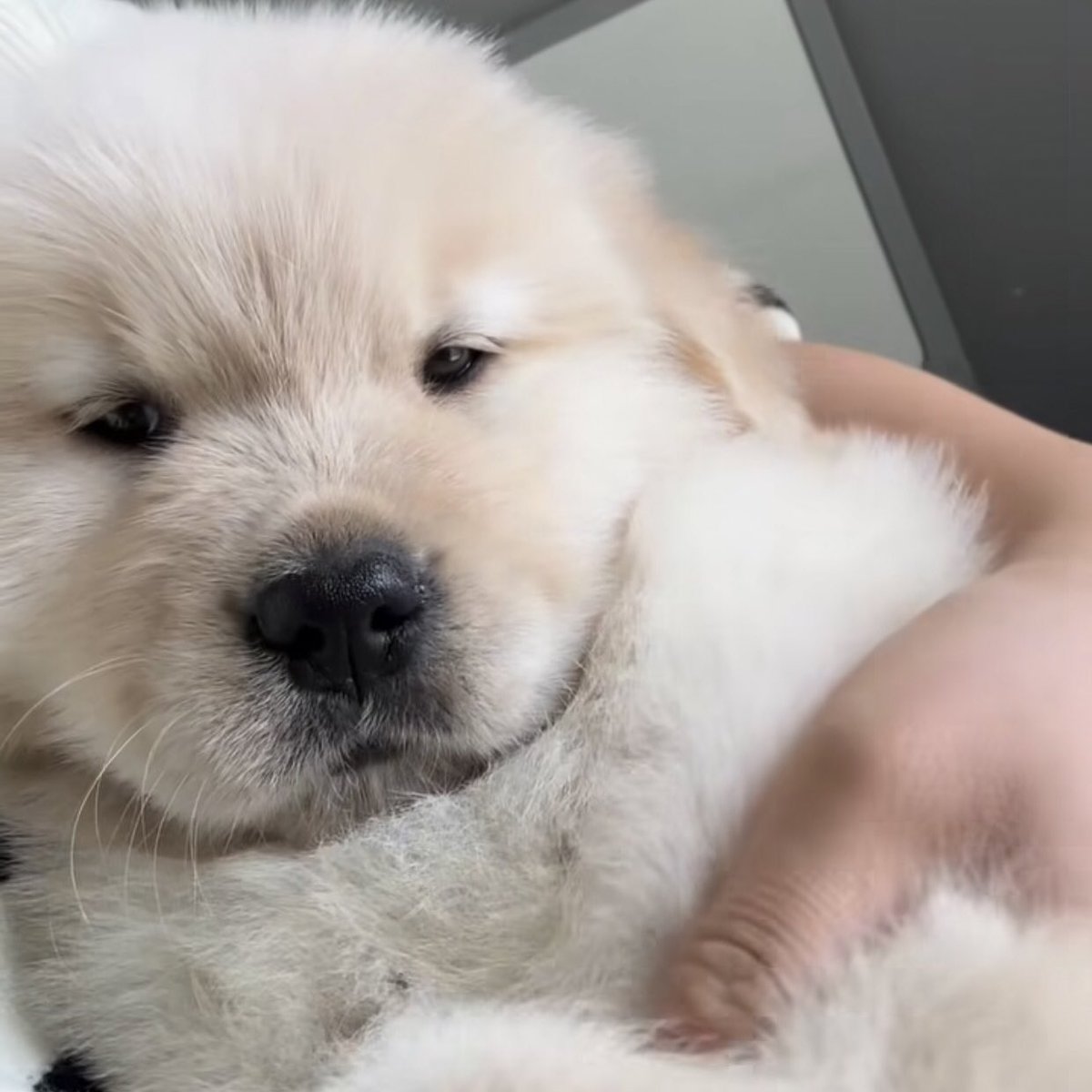 ดีกันนะอ้วน 🥺                                   คัยอ้วน 😡