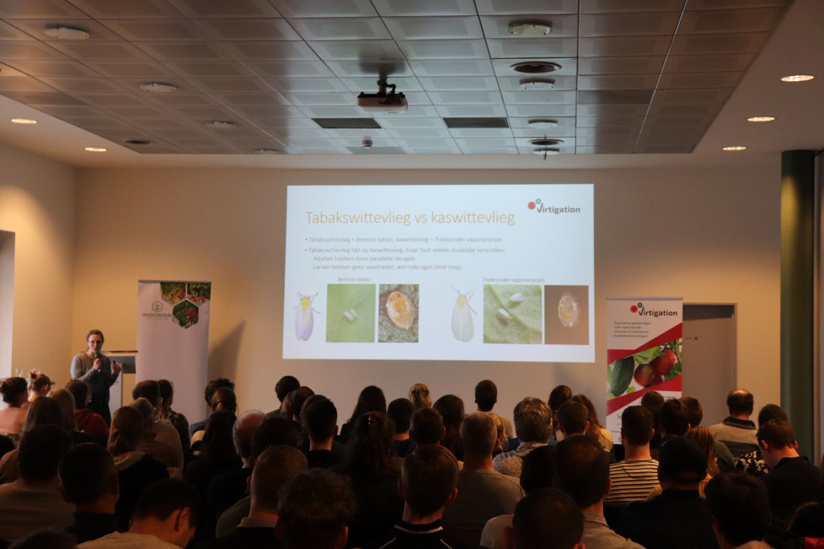 VIRTIGATION - save tomatoes & cucurbits from virus tweet media