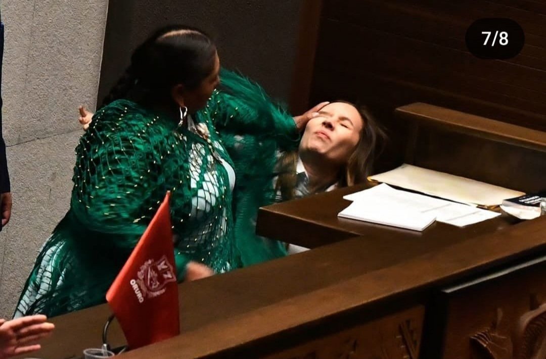 AndrsGomezV's tweet photo. ¿Cuál la diferencia entre ellas? La ropa. Después ambas son iguales; por eso, ambas son diputadas. Por eso, ese cuento de la discriminación es falaz en este caso. Es irracional que una persona se deje escupir y pierda su derecho a la defensa sólo porque la otra viste diferente. https://t.co/2sVx2dAZF0