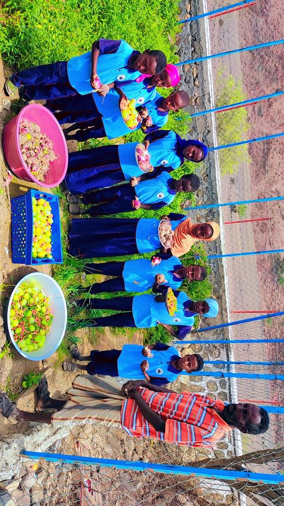 Les jardins scolaires. Avec l´appui du PAM, le service de la restauration scolaire en collaboration avec le CFEEF poursuit des formations sur le jardin scolaire dans les région du Sud.