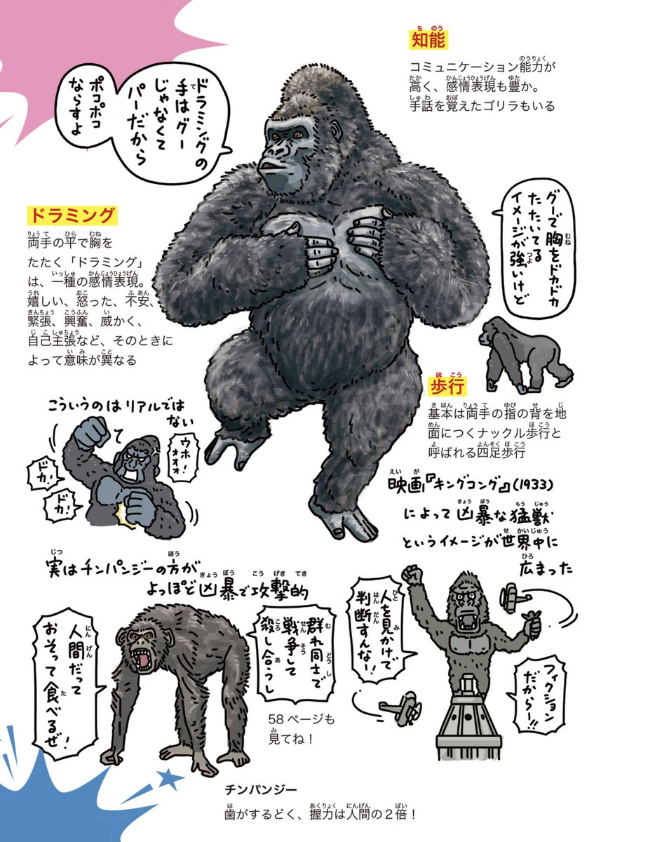 公の場での発言・インタビュー報道記録