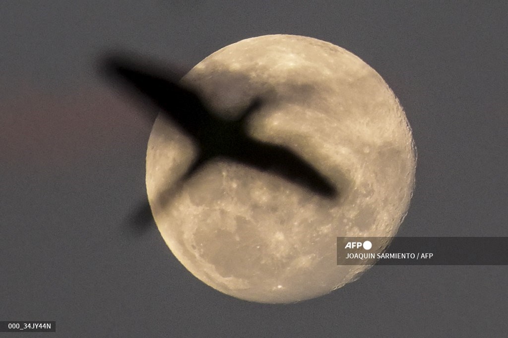 #AFP PICTURES OF THE WEEK (February 17-23) u.afp.com/5xZR