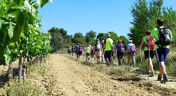 ¡Montañeros de Aragón de Barbastro celebra su 75 aniversario!

🗓 El 23 y 24 de marzo participa en las "12 HORAS NON STOP MARCHA NORDICA".

✍️ Inscríbete en el siguiente enlace
👉clubmab.org/nonstop/