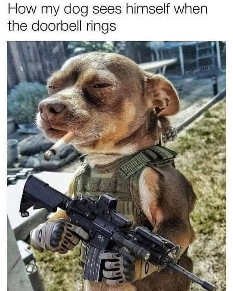 Mike Platt (@mikeplatt1) on Twitter photo 