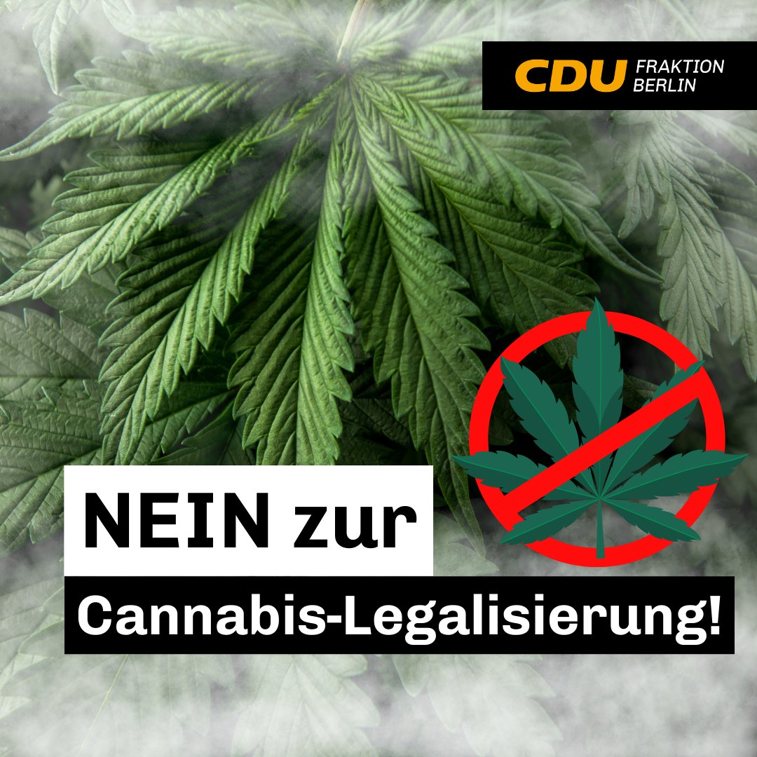 Die Cannabis-Freigabe der Ampel-Koalition ein gefährliches Spiel zu Lasten der Gesundheit unserer Kinder und Jugendlichen. Wir lehnen diese Entscheidung entschieden ab. @DirkStettner: „Uns fehlt jedes Verständnis, wenn das ebenso wie Warnungen von Ärzten, Suchtmedizinern und…