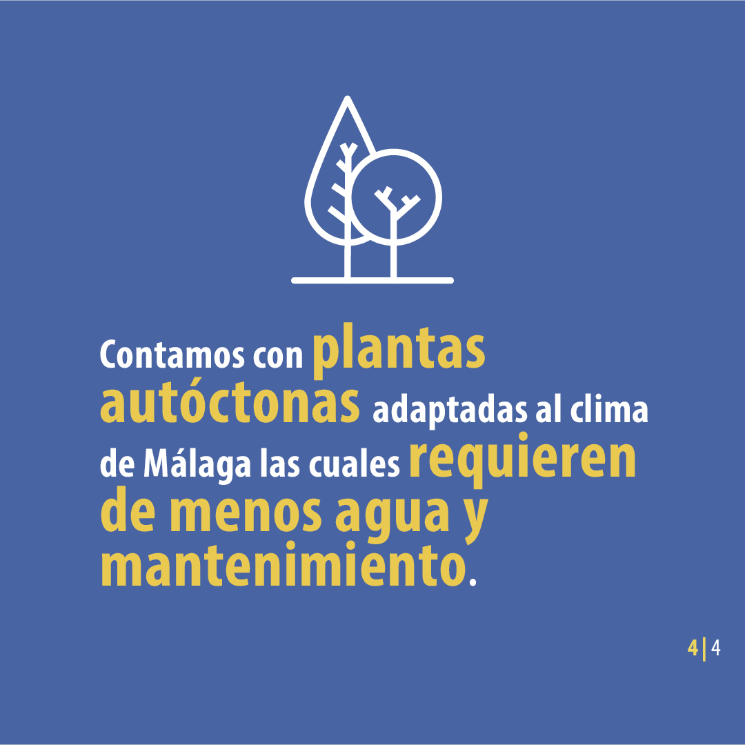 ➡️ Conoce todas las medidas que hemos sumado e implementado en Plaza Mayor🚰🌳 #PlazaMayor #Andalucía #sostenibilidad #Málaga #JardinesSostenibles