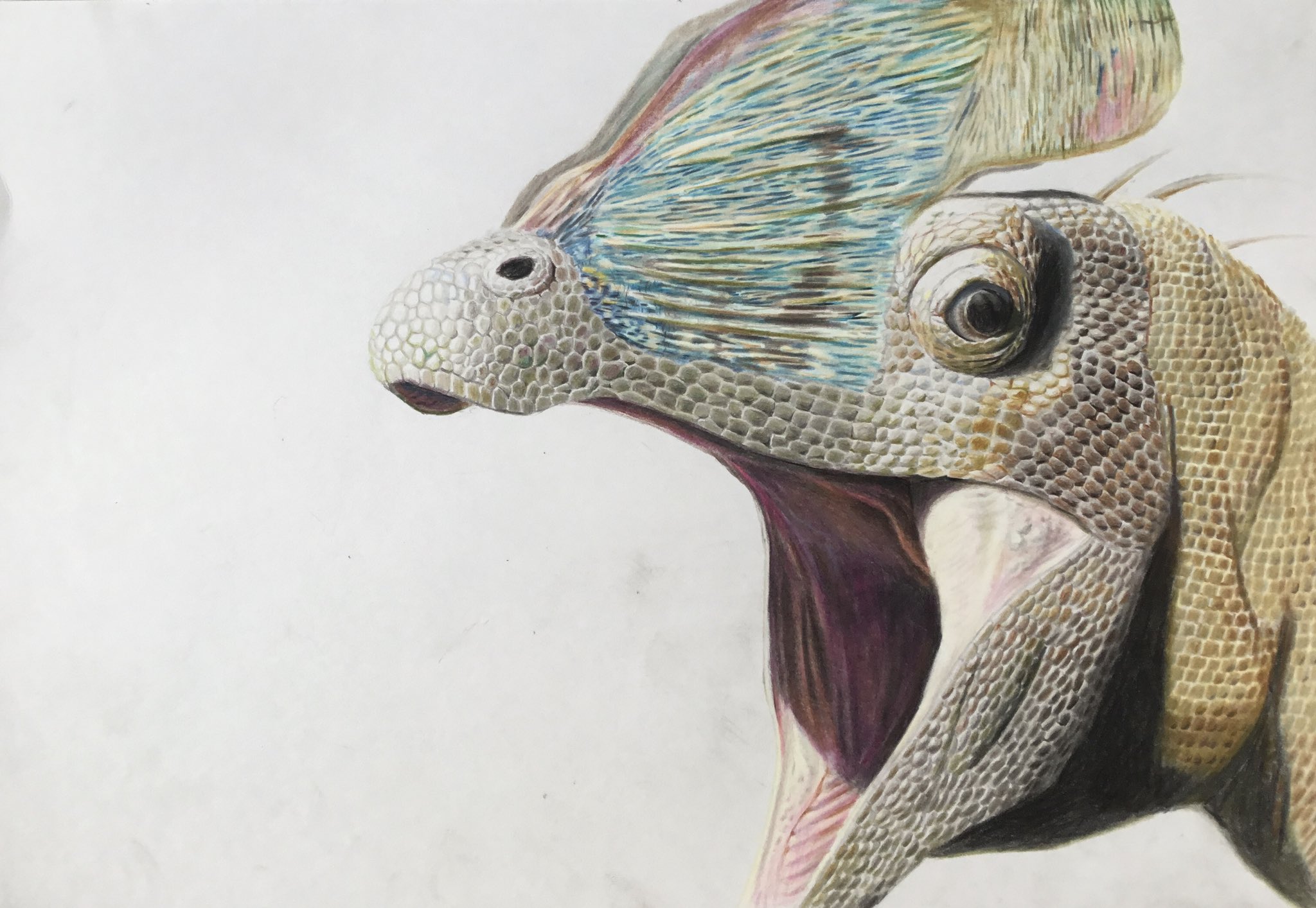 「朝靄のヴィラ」原画 鉛筆 朝靄のヴィラ」原画 鉛筆 今日は東方の小傘ちゃんを描きました！