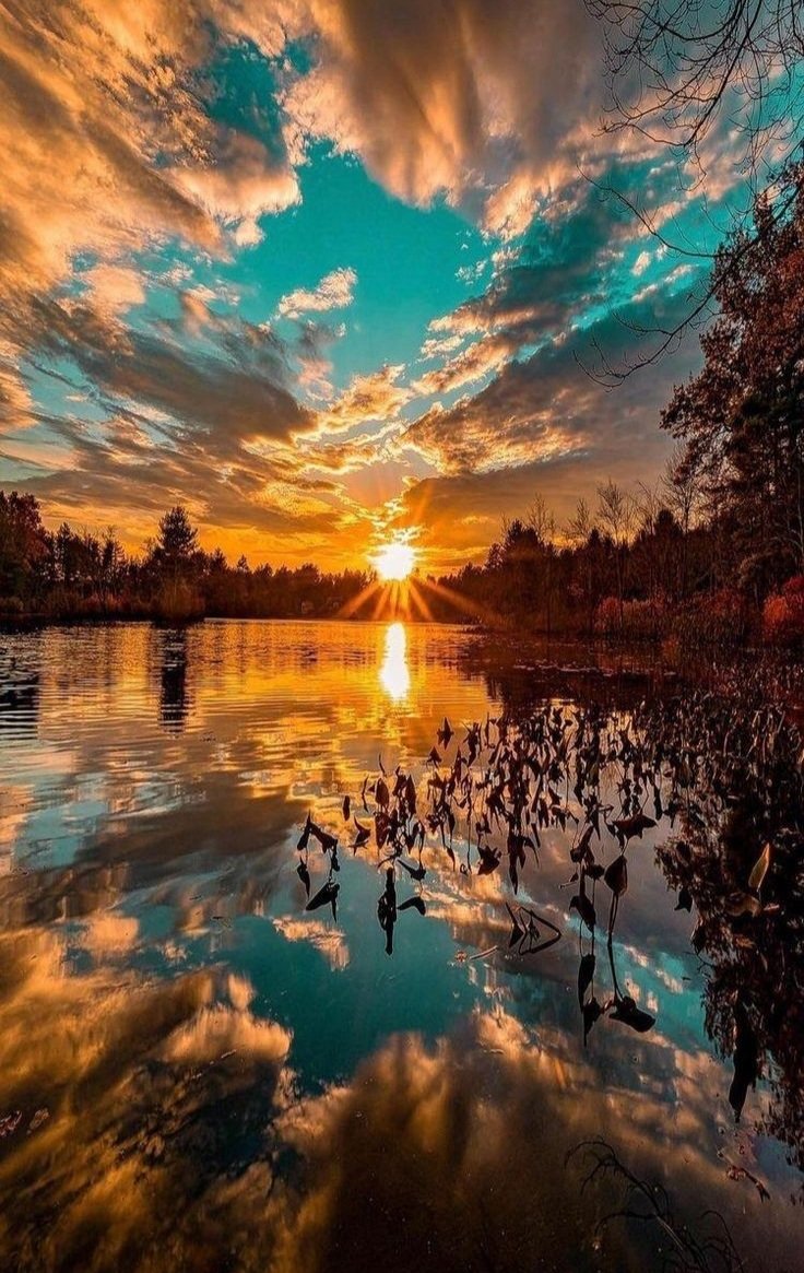 Amazing nature 😍 
#NatureBeauty #photography 📸😍