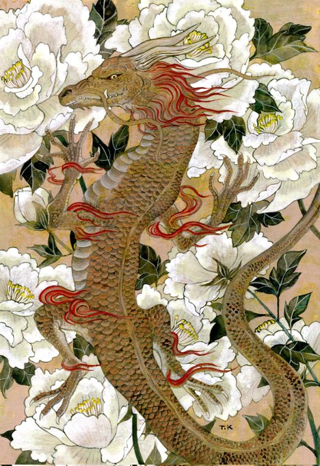 「eastern dragon flower」 illustration images(Latest)