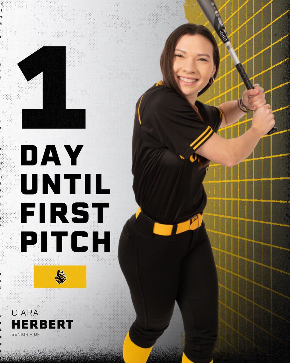 IT IS GAMEDAY EVE! ONE MORE SLEEP UNTIL FIRST PITCH! 
🥎💛🖤🥳