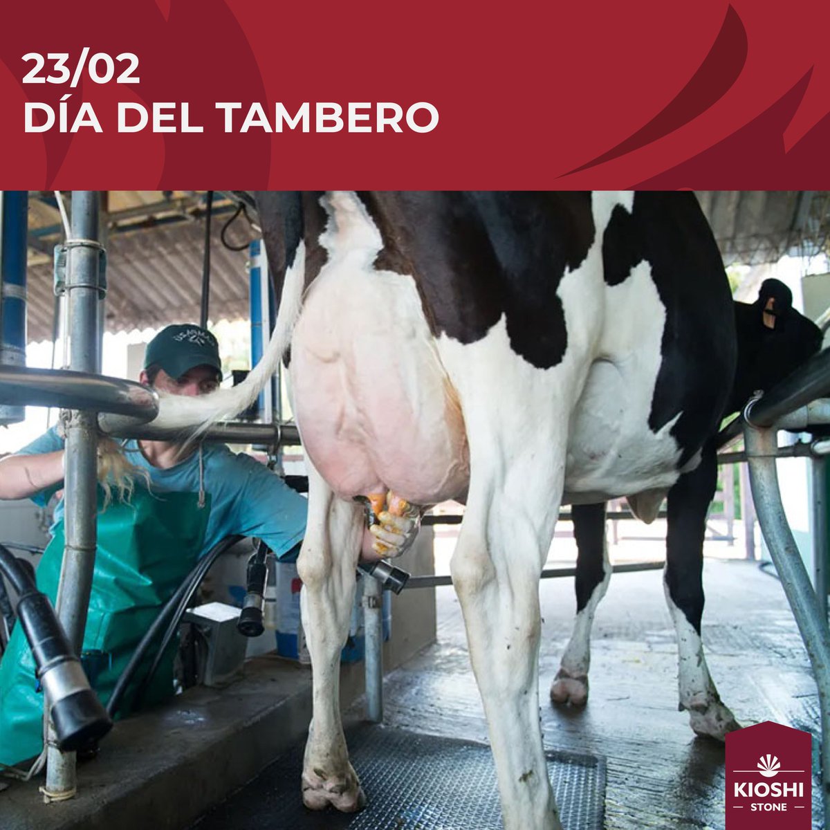 Kioshi Stone S.A. tweet media