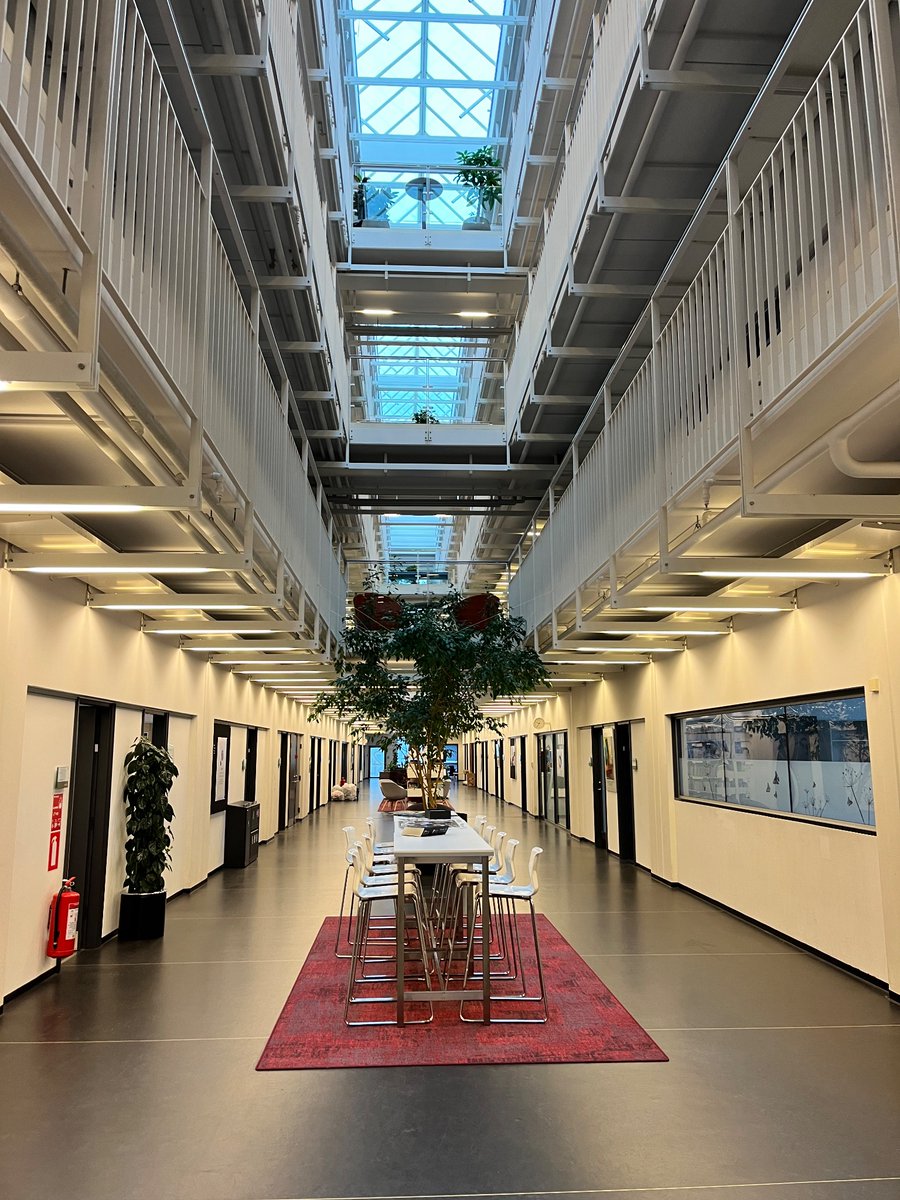 Cristian Montenegro 🍉 tweet media