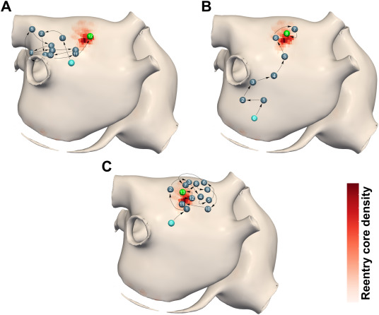 New Paper Alert! Just out in @JMCCPlus, a group from @CARIMMaastricht and others and partially funded through @PersonalizeAF has shown that placing mapping catheters upstream may improve source detection efficiency! #CardioTwitter #EPeeps @UliSchotten sciencedirect.com/science/articl…