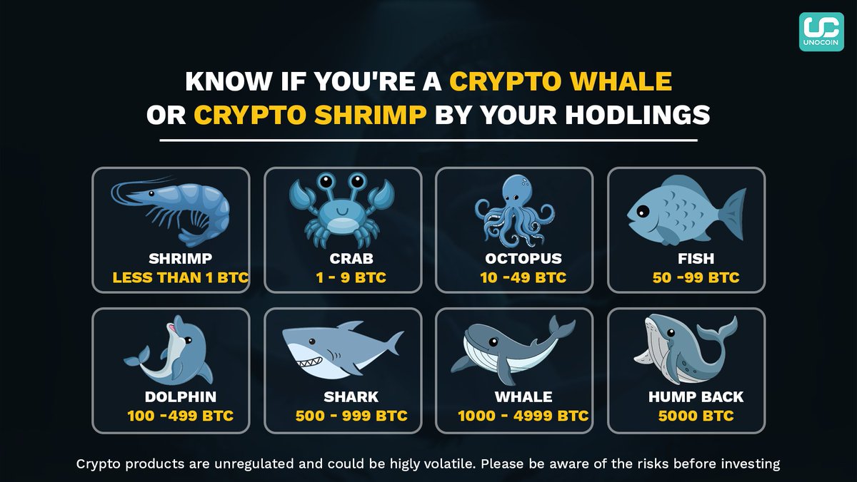 Are you swimming with the whales or just a small shrimp in the vast ocean  of crypto? 🐳🦐 Dive deep into your hodling habits and discover where you  stand in the crypto
