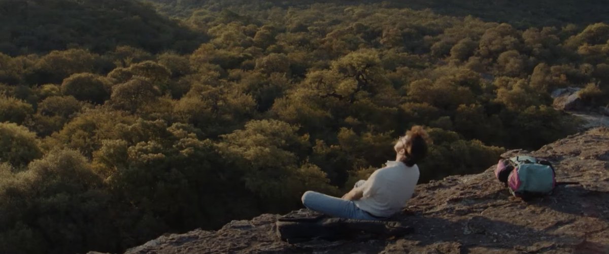Michi_Panero's tweet photo. Menudo viernes. Hoy también se estrena una de mis pelis favoritas del último Zinemaldi: LA ESTRELLA AZUL. Es un biopic, es un musical, es una road movie, es cine de provincias y es cine del norte y del sur. Lo maravilloso es que es gran cine en todas esas vertientes. ¡Al cine! https://t.co/SCmeIK2GHa