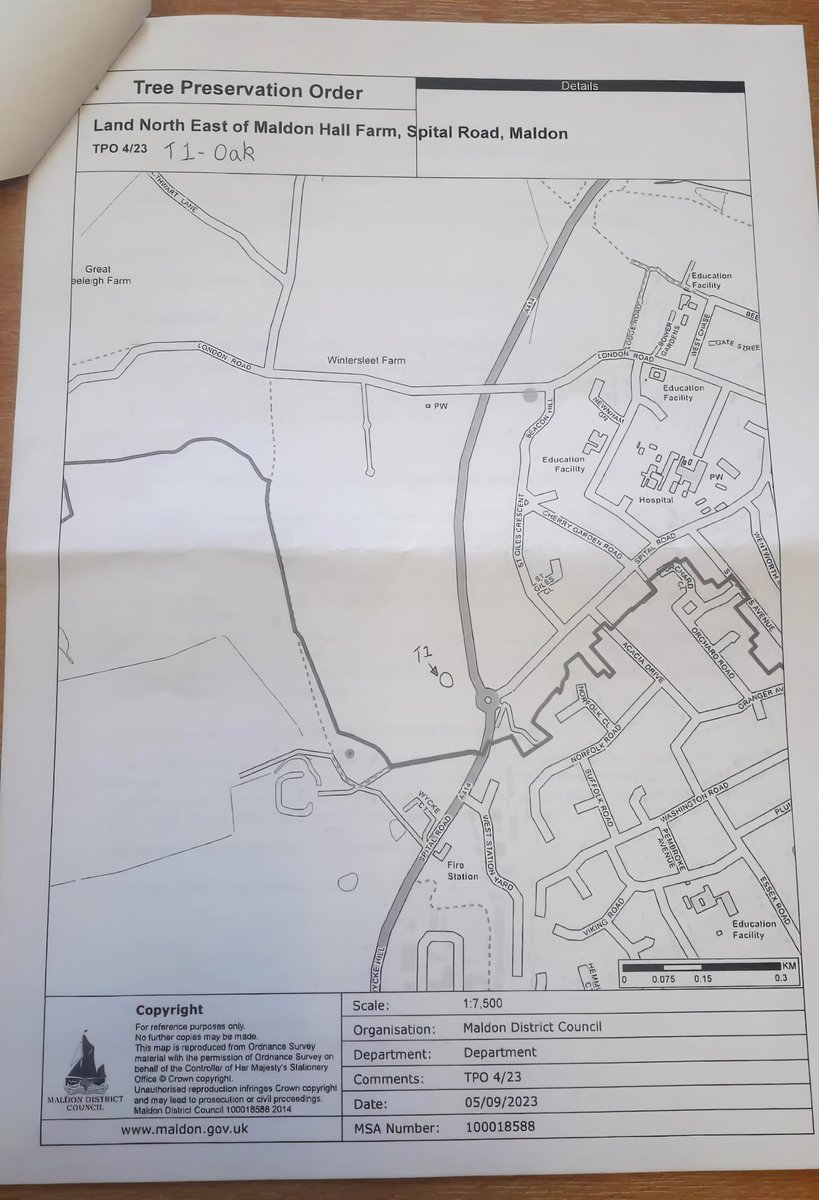 I am now officially a tree hugger! 
Pleased to finally get a Tree Preservation Order from MDC for this fine oak that potentially could be impacted by developments on Maldon Hall Farm.