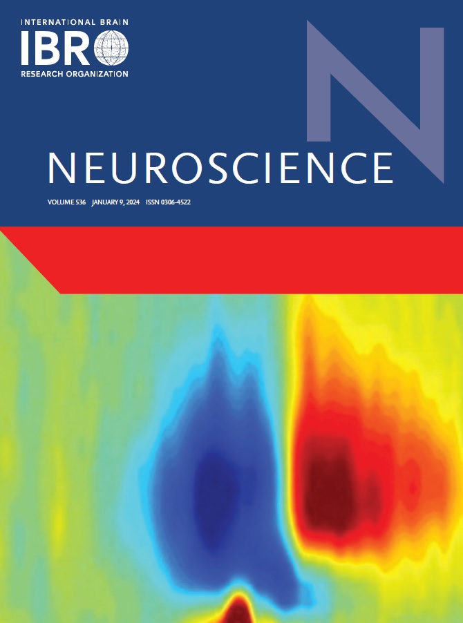 Excited to see our MEG research on the cognitive-motor interactions in persons with #CerebralPalsy featured on the cover of Neuroscience. pubmed.ncbi.nlm.nih.gov/37996052/