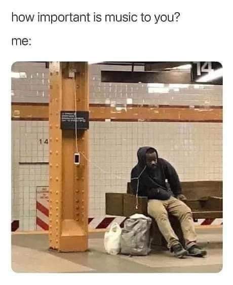 How important is music to you? 🤔