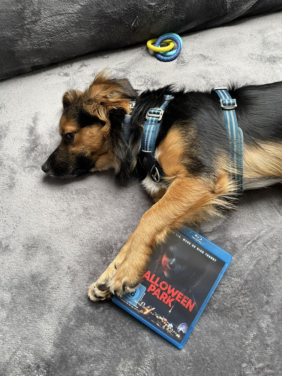 FloSimbaDog's tweet image. Movie night 🥰