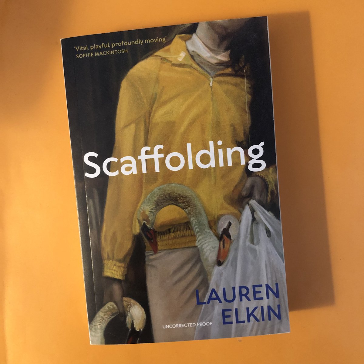 A first novel by literary powerhouse @LaurenElkin - published by @ChattoBooks this June!