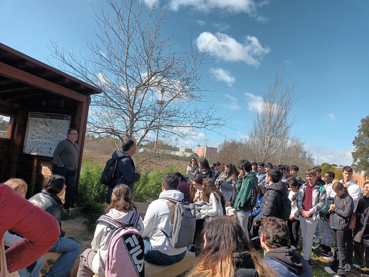 iesmariagaliana's tweet photo. Participación alumnado #4ESOD y #1BCH  en las #OlimpiadasGeologia en la Universidad @pablodeolavide . Nuestro alumno Julio Garrido Sánchez #4ESOD, 2° puesto y pasaporte directo a la #FaseNacional en #Zamora!! Enhorabuena, Julio!! https://t.co/XLn6mxD9KC