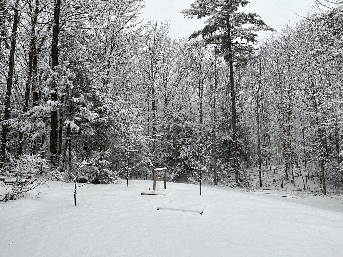 NHiceman's tweet image. Winter Wonderland here in the Concord NH area at 700’ elevation. Received about 3” of wet snow. Was at 32 all night until about 8am when it rose to 33F. Stayed pretty much all snow.