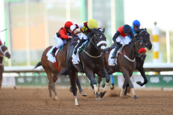 enjoy.jbis.or.jp/world/00_2024_…
インターナショナルジョッキーズチャレンジ第1戦
#TheSaudiCup #サウジカップ