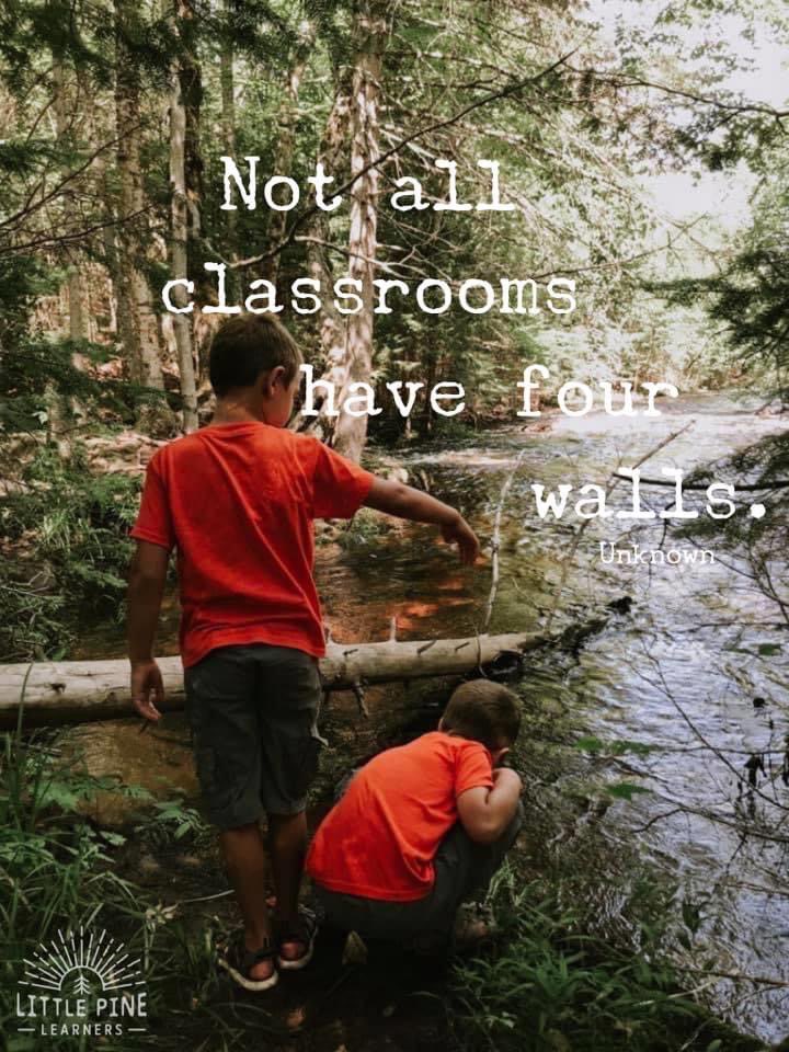 MudandBloom's tweet photo. #outdoorlearning #forestschool #natureconnection #exploringnaturewithchildren https://t.co/DJM1xkPrx0
