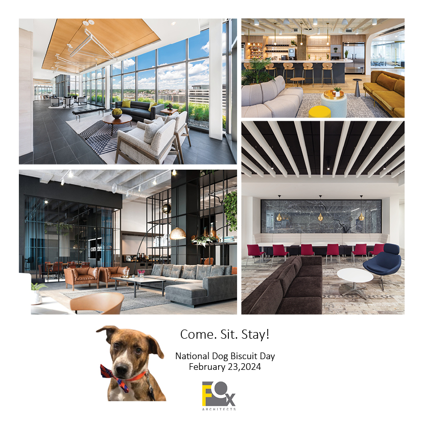 Riley, FOX's Director of Health & Wellbeing, knows a thing or two about treats and believes that these café and lounge spaces are deserving of one! #nationaldogbiscuitday