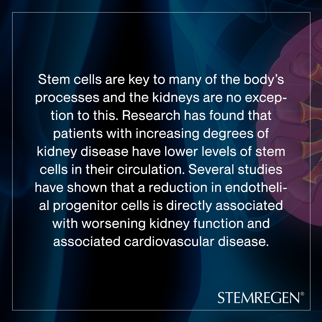 STEMREGEN tweet media