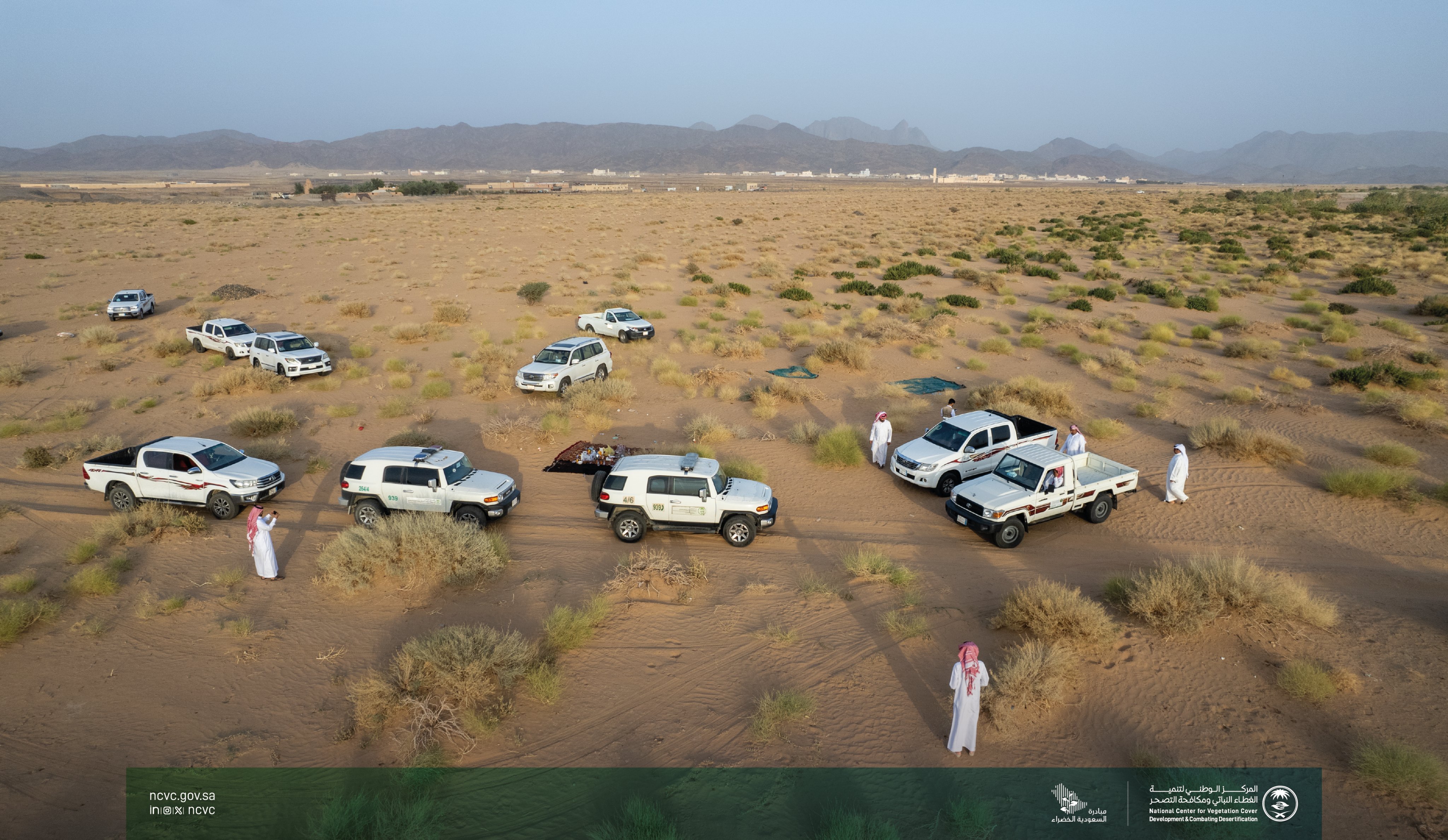 Seed Harvesting Project to Combat Desertification in Ranyah 