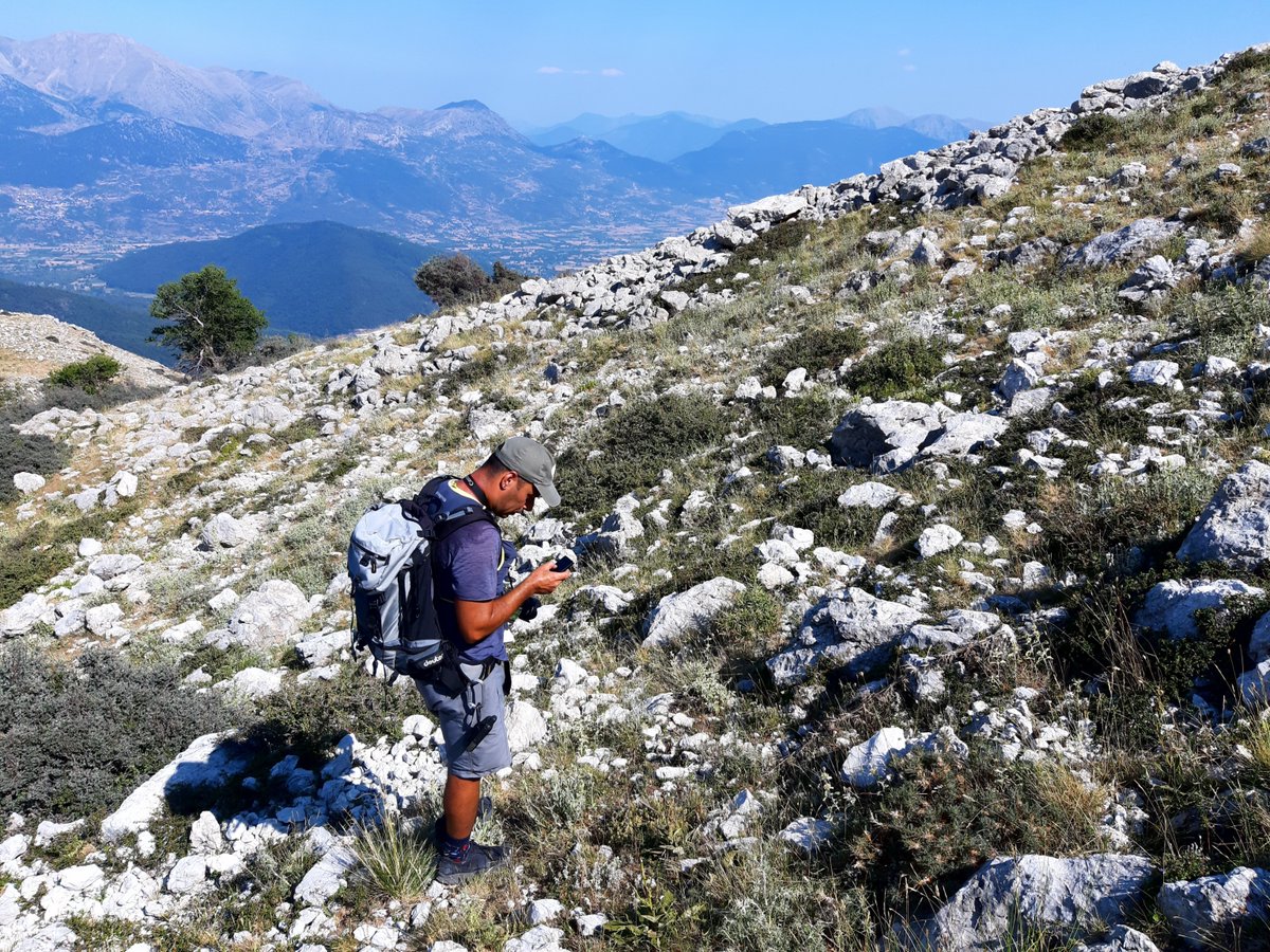 Plants People Planet 🌱👥🌐 (@plantspplplanet) on Twitter photo Mountain greening and rising temperatures erode habitats of ironwort (Sideritis), an important natural medicinal resource
Theodoridis et al. <a href="/spytheodor/">Spyros Theodoridis</a>
📖ow.ly/vP0M50QG7wP
@Wileyplantsci Mountain greening and rising temperatures erode habitats of ironwort (Sideritis), an important natural medicinal resource
Theodoridis et al. <a href="/spytheodor/">Spyros Theodoridis</a>
📖ow.ly/vP0M50QG7wP
@Wileyplantsci