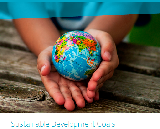 19/03/2024 | Hoe voert België de SDGs uit? Waar staan we vandaag? | Webinar | frdo-cfdd.be/events/2024031…