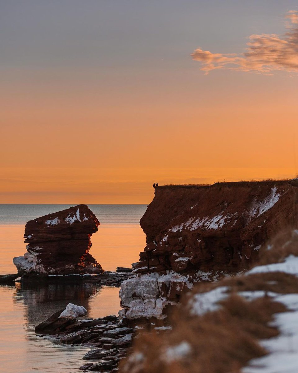 Even the eagles want to sit and take in the PEI sunrise! 🌅🦅

📷 Jill Johnston