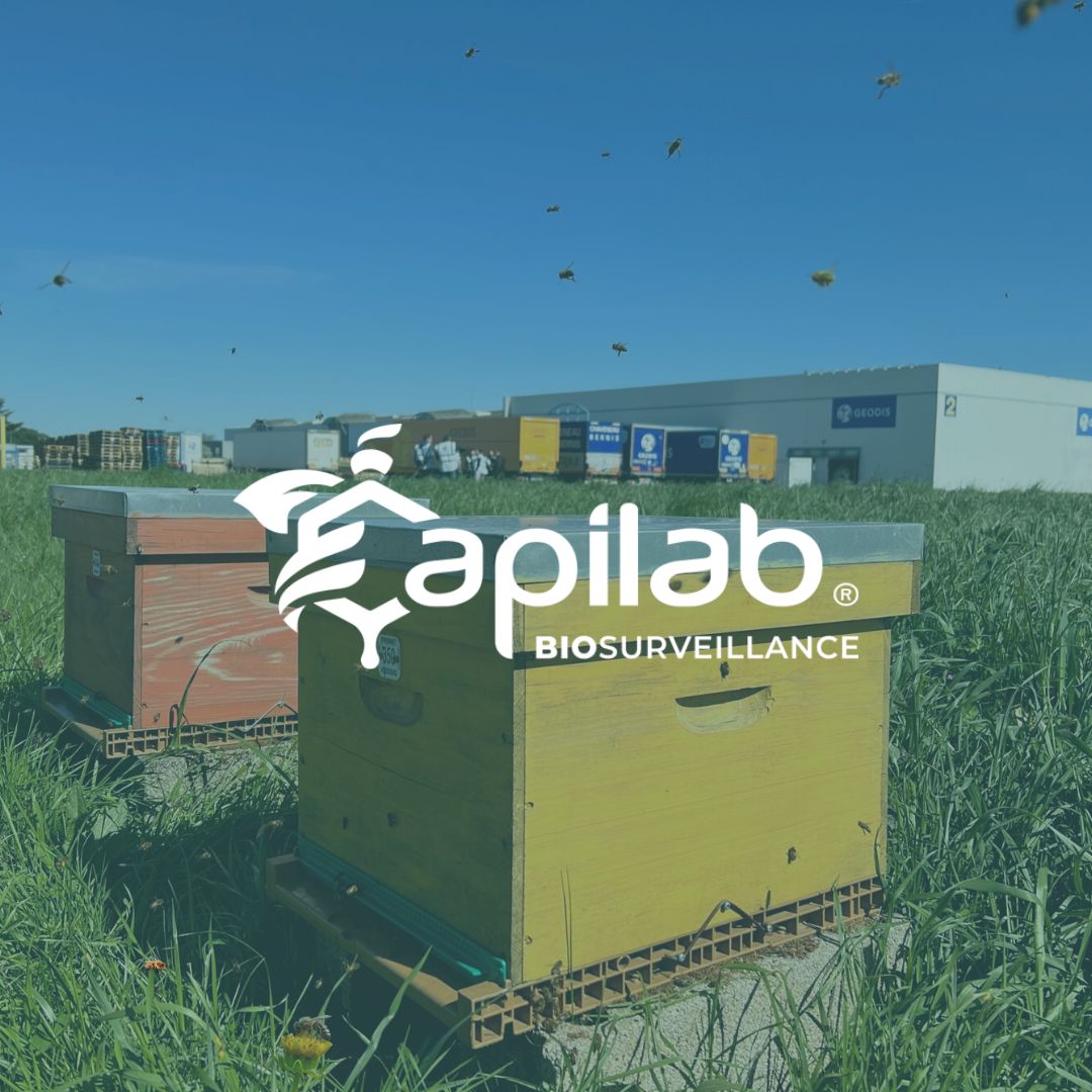 Apilab's tweet image. 12 ans que nous sommes sur Twiiter- X aujourd&apos;hui !  #MonAnniversaireX 

C’est avec joie que nous vous partageons notre bilan de l’année 2023 ! 
Nous tenons à remercier tous nos partenaires, clients, apiculteurs et distributeurs de nous faire confiance. 

#biodiversité #abeilles