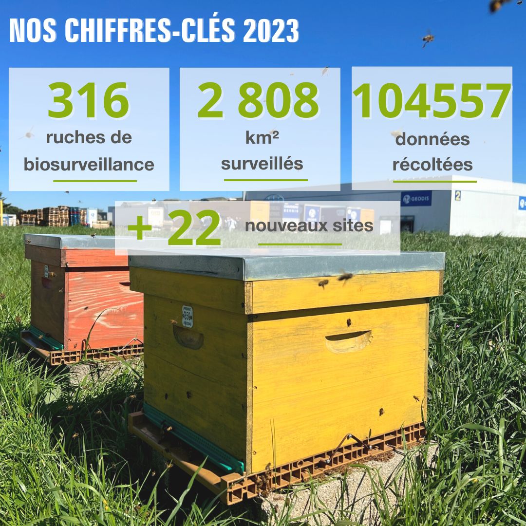 Apilab's tweet image. 12 ans que nous sommes sur Twiiter- X aujourd&apos;hui !  #MonAnniversaireX 

C’est avec joie que nous vous partageons notre bilan de l’année 2023 ! 
Nous tenons à remercier tous nos partenaires, clients, apiculteurs et distributeurs de nous faire confiance. 

#biodiversité #abeilles