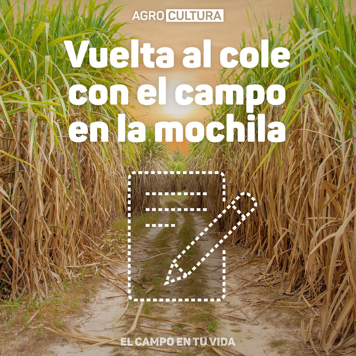 elcampoentuvida's tweet photo. El campo está en todo y la mochila del colegio no es la excepción. Desde el papel de los cuadernos producidos con caña de azúcar hasta los lápices de madera, incluso los marcadores y la goma de pegar contienen maíz. Conocé más en https://t.co/1acijTPRVU #ElCampoEnTuVida https://t.co/ihFdWzHvOt
