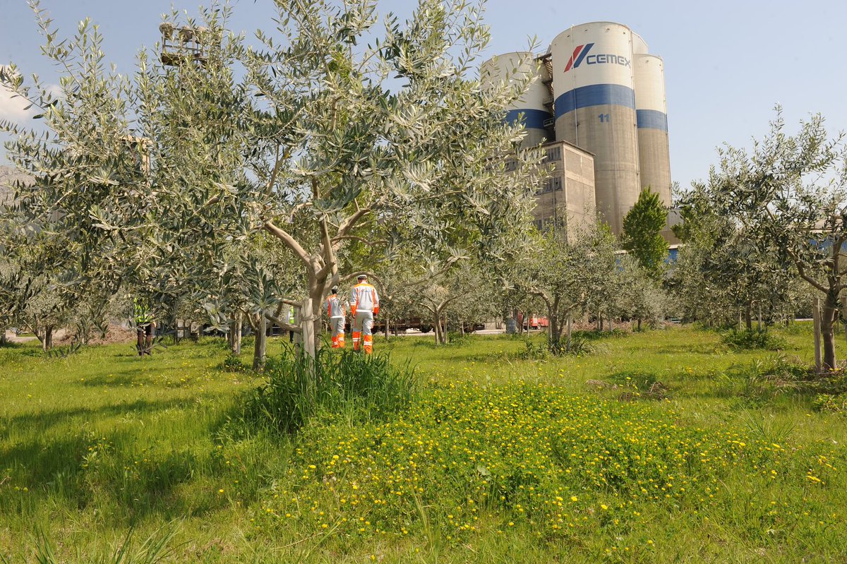 Cemex has been recognised for its environmental leadership by @CDP, securing a place on its annual ‘A List’ ♻️

CDP's scoring process is widely recognised as the gold standard of corporate environmental transparency ✅

Read more here: cemex.com/w/cdp-awards-c…
#FutureinAction