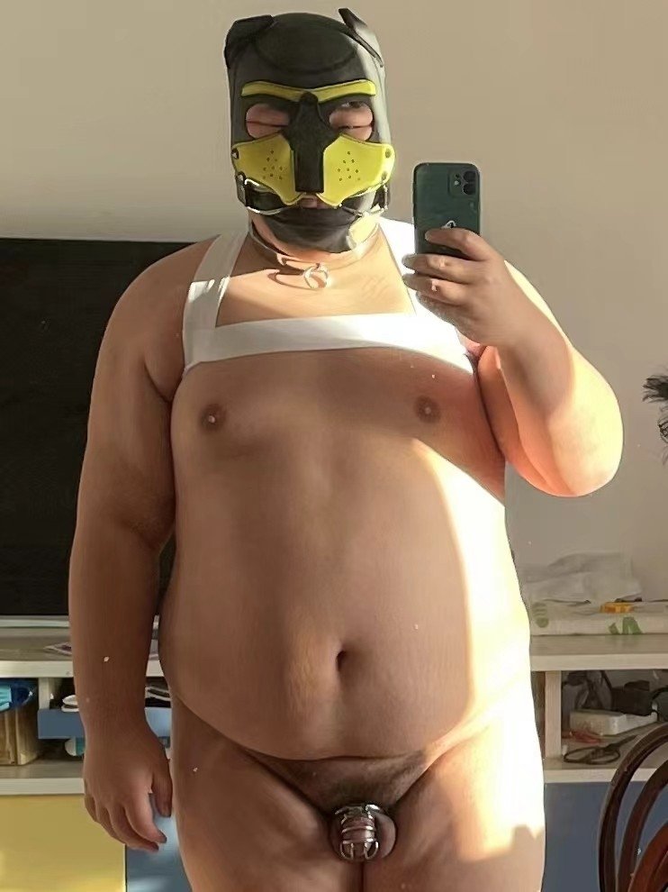 威风小胖 tweet media